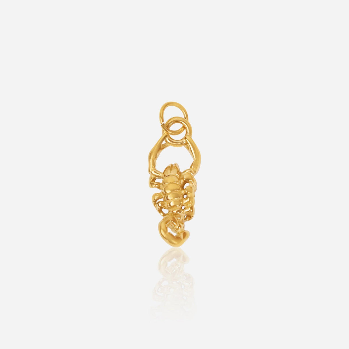 скорпион/scorpio