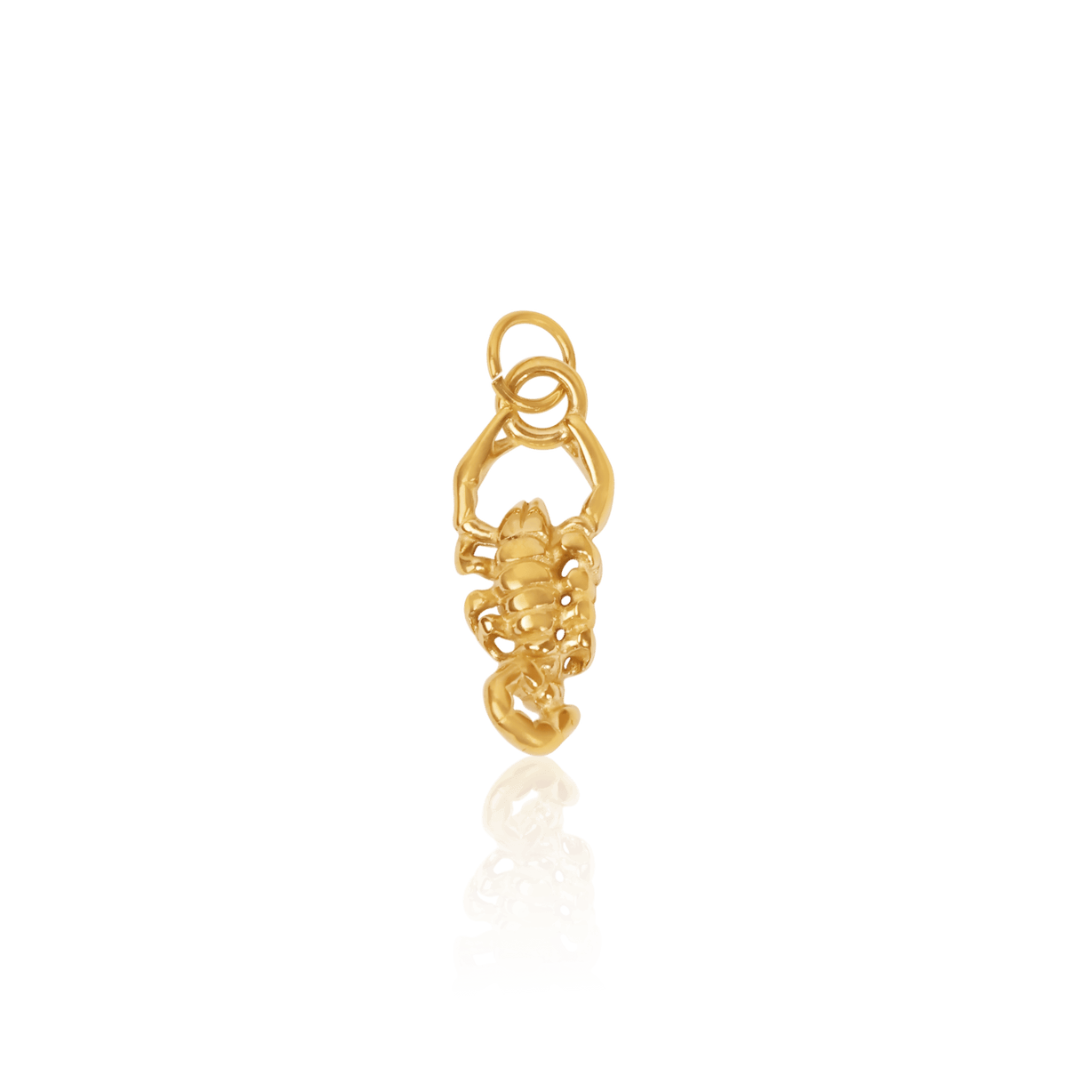 скорпион/scorpio