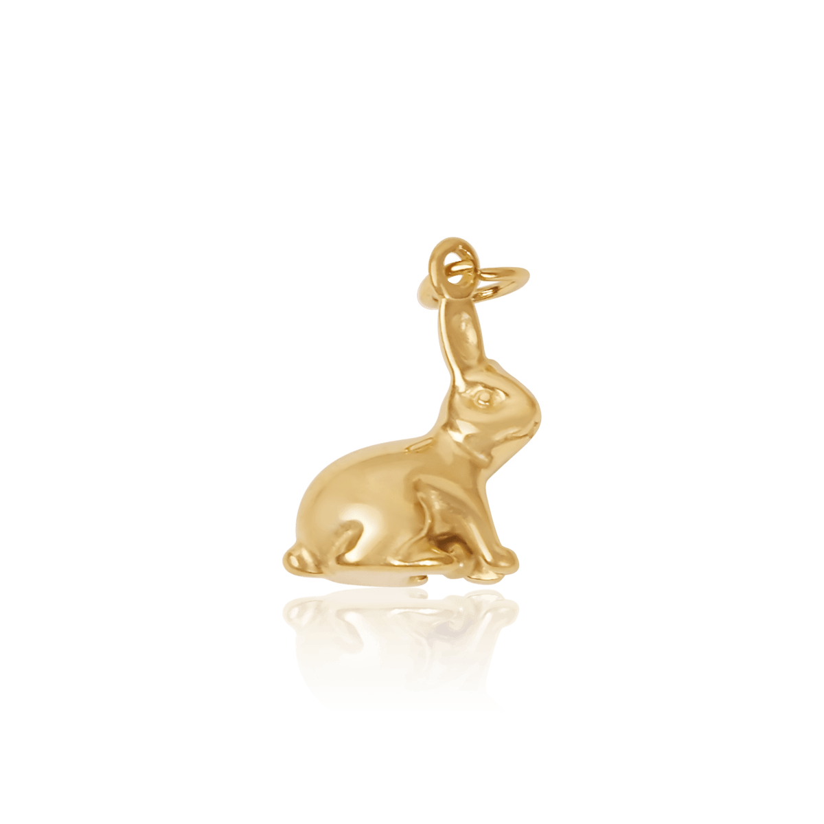 заек/Rabbit