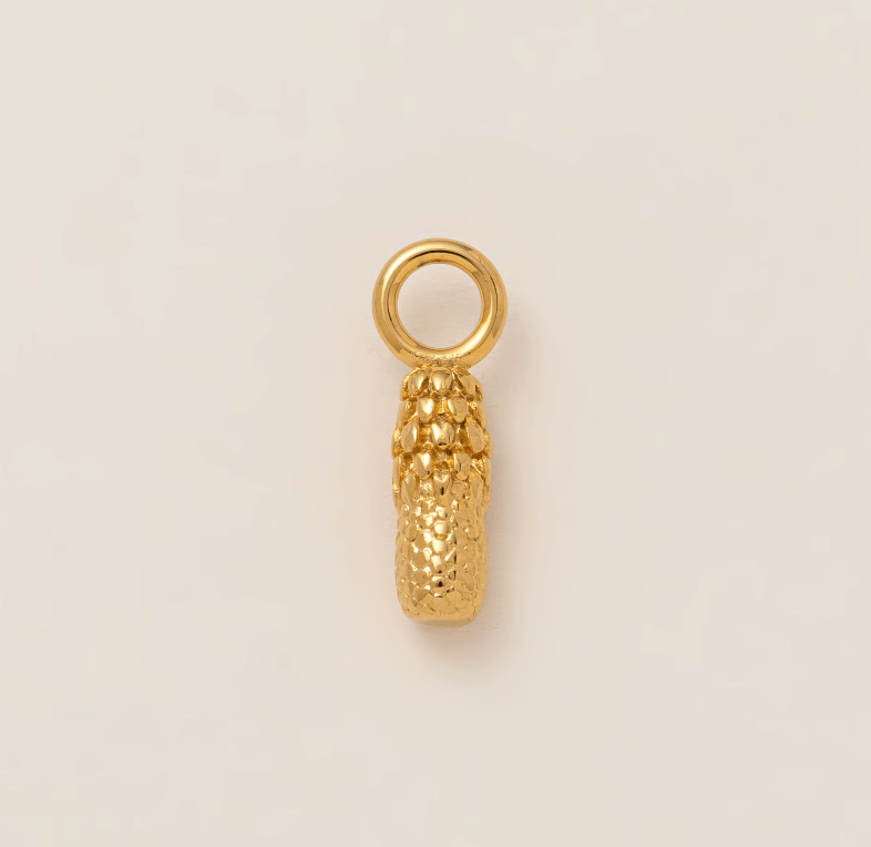 Ananas - Clout Vienna#