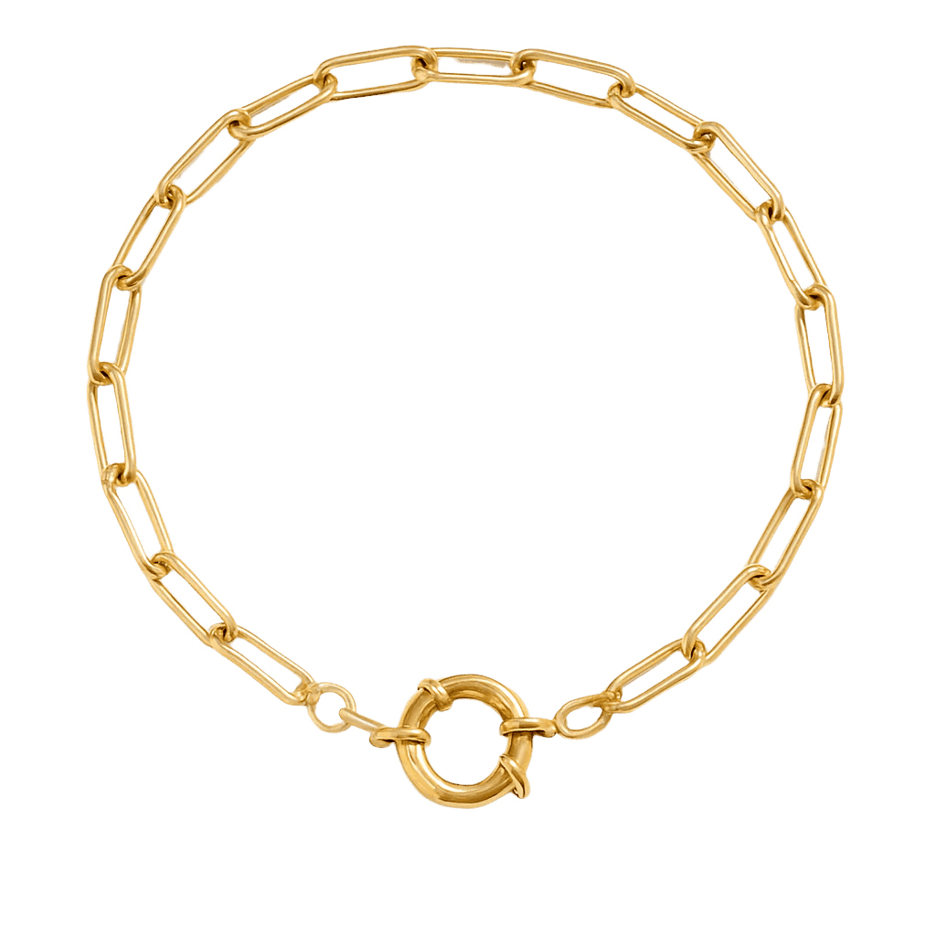 Charm Paperclip Bracelet with Vintage Clasp - Clout Vienna#