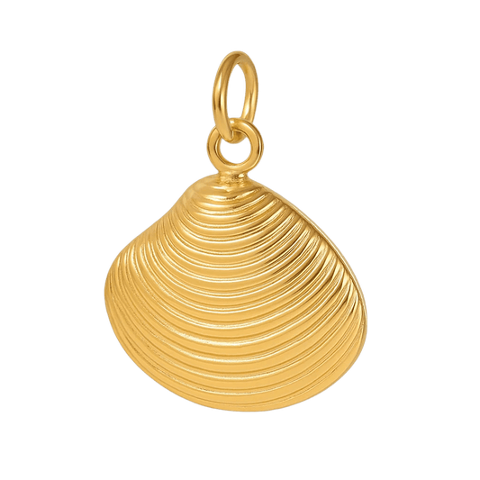 Muschel Sunray Venus - Clout Vienna#