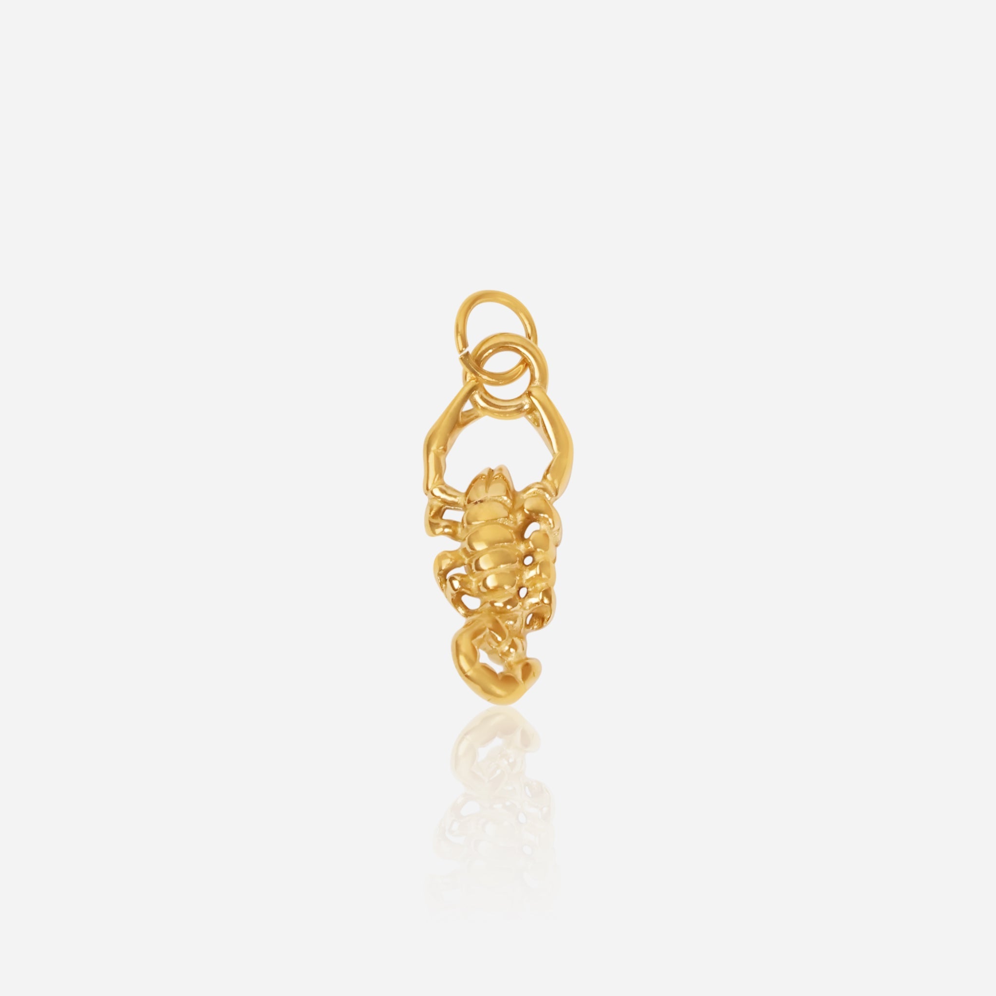 скорпион/scorpio
