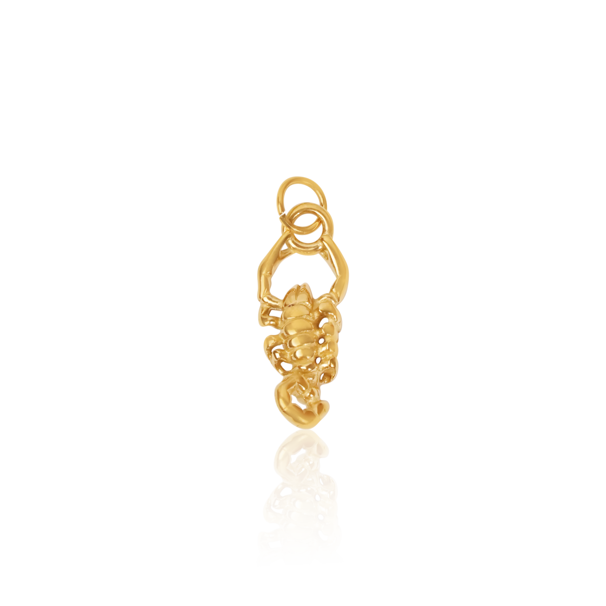 скорпион/scorpio
