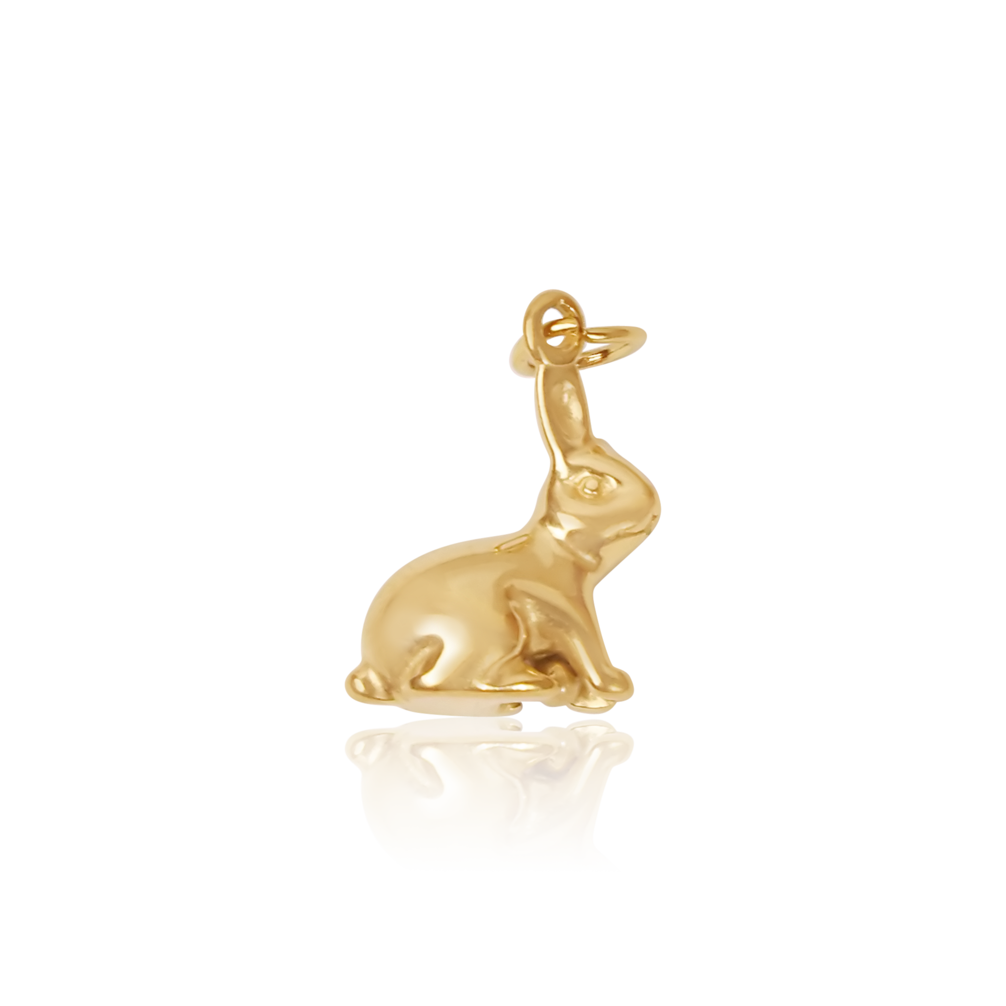 заек/Rabbit