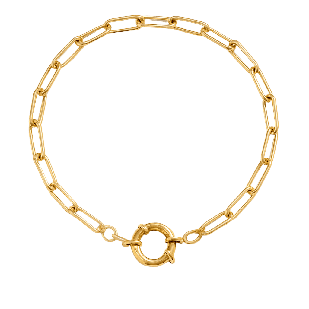 Charm Paperclip Bracelet with Vintage Clasp - Clout Vienna#