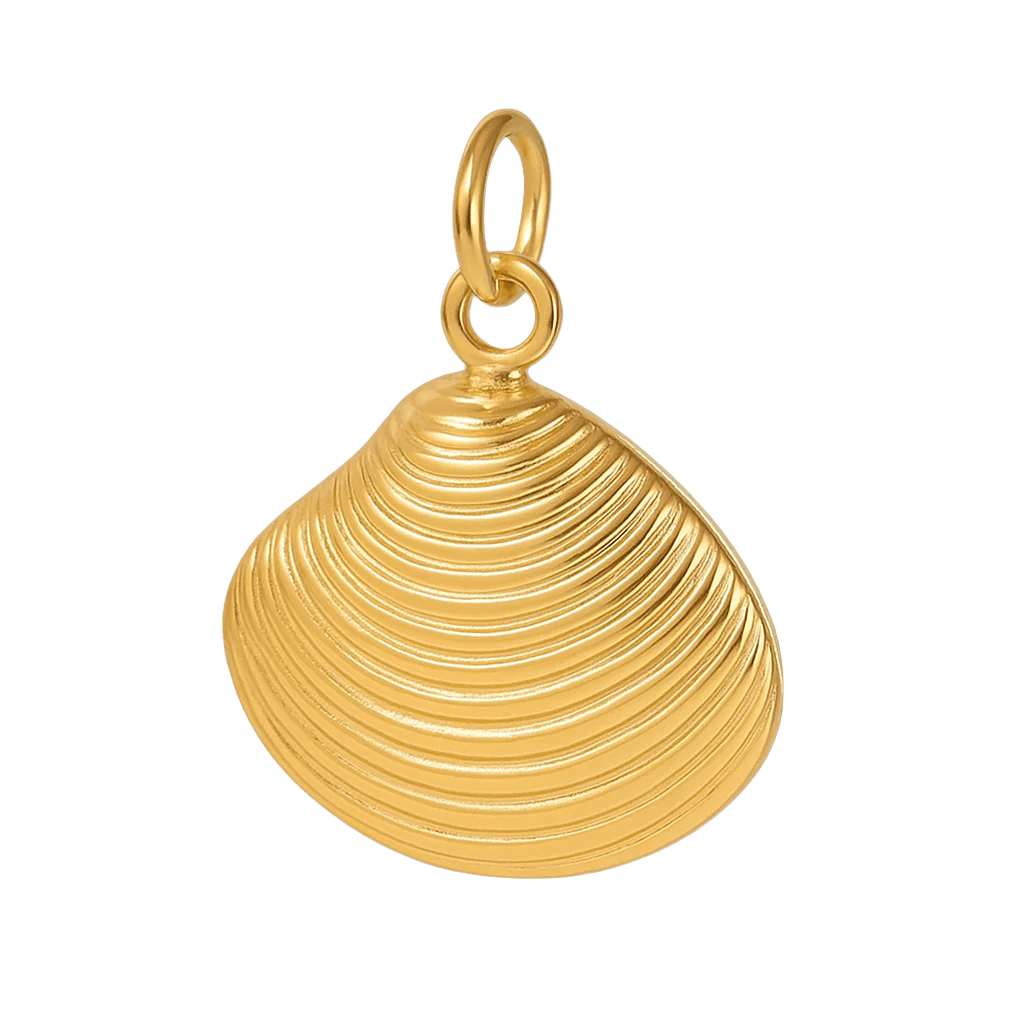 Muschel Sunray Venus - Clout Vienna#