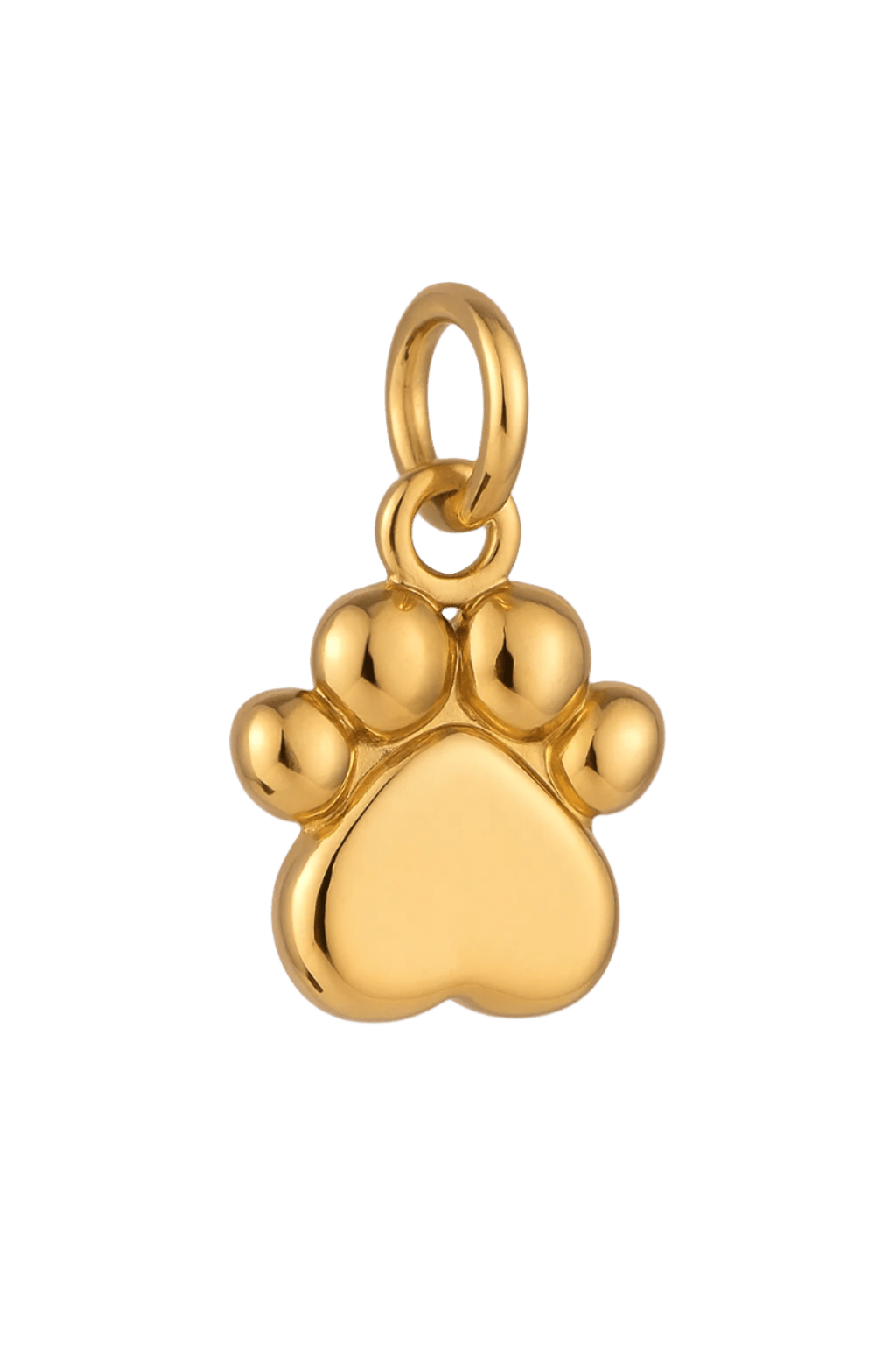 Pfote - Clout Vienna#