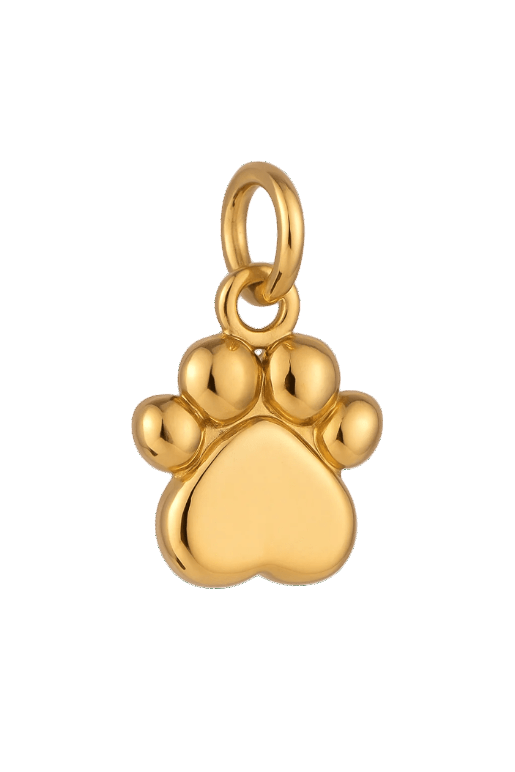 Pfote - Clout Vienna