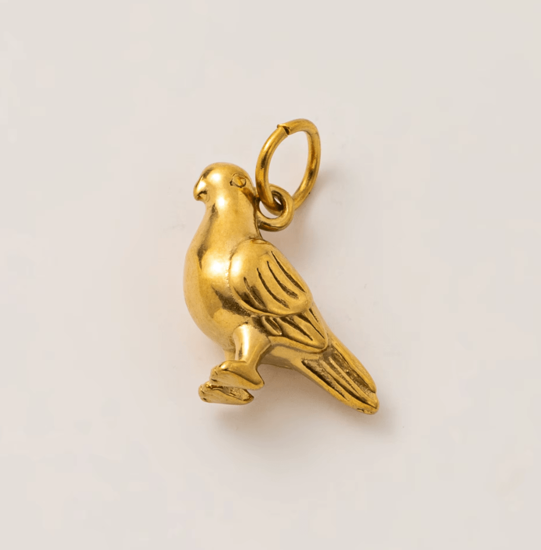 Taube - Clout Vienna