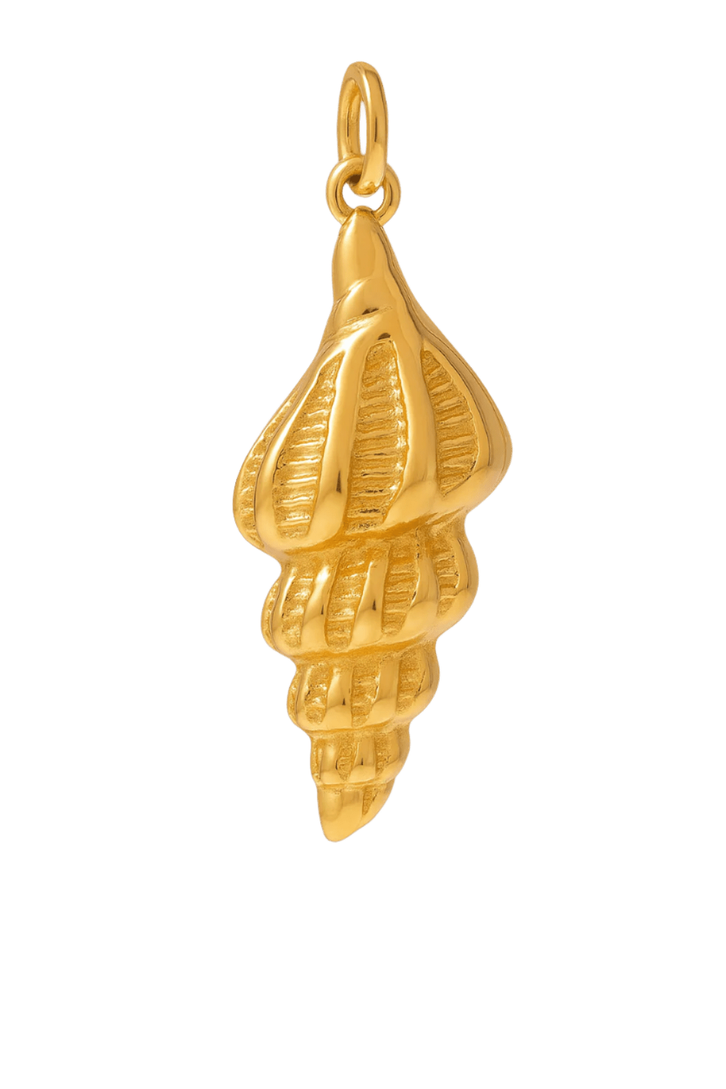 Whelk Muschel flat - Clout Vienna#