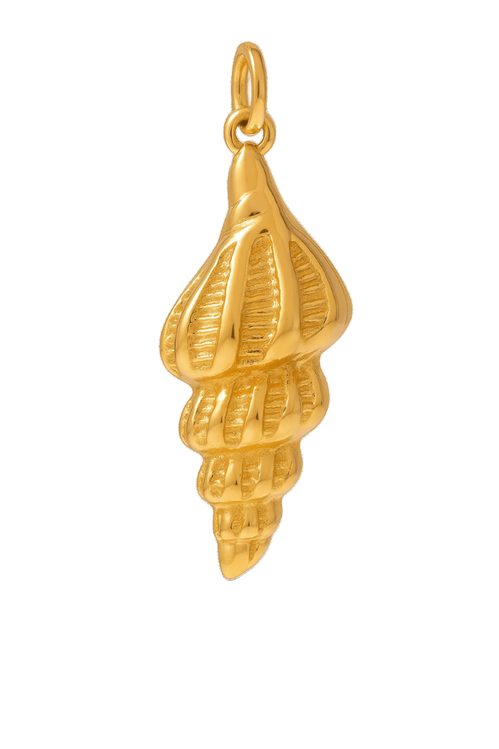 Whelk Muschel flat - Clout Vienna